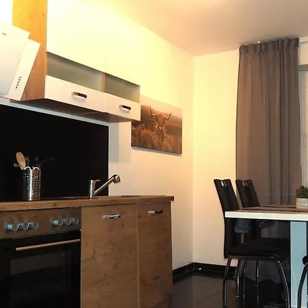Apartment Moeblierte Naehe Basf Ludwigshafen/mannheim Mit Privatparkplatz *