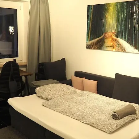 Moeblierte Naehe Basf Ludwigshafen/mannheim Mit Privatparkplatz * לודוויגסהאפן אם ריין