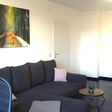 Moeblierte Naehe Basf Ludwigshafen/mannheim Mit Privatparkplatz Apartment Ludwigshafen am Rhein