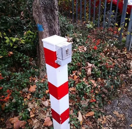 Moeblierte Naehe Basf Ludwigshafen/mannheim Mit Privatparkplatz Ludwigshafen