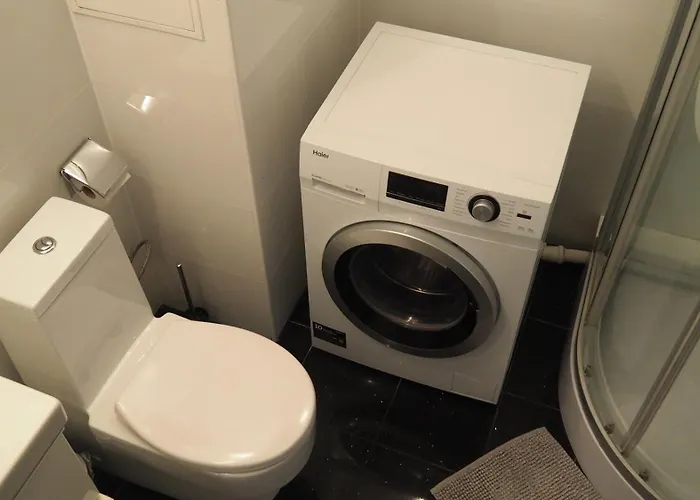 Moeblierte Naehe Basf Ludwigshafen/mannheim Mit Privatparkplatz Ludwigshafen am Rhein